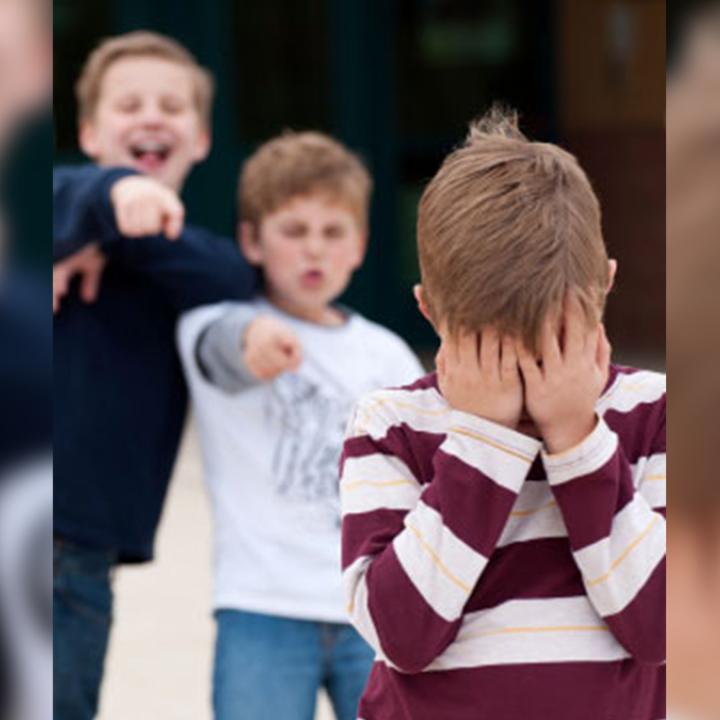 Expert Offers Tips to Prevent Bullying